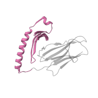 The deposited structure of PDB entry 1klg contains 1 copy of CATH domain 3.10.320.10 (Class II Histocompatibility Antigen, M Beta Chain; Chain B, domain 1) in HLA class II histocompatibility antigen, DR alpha chain. Showing 1 copy in chain A.