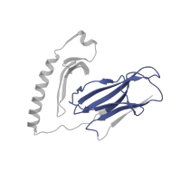 The deposited structure of PDB entry 1klg contains 1 copy of Pfam domain PF07654 (Immunoglobulin C1-set domain) in HLA class II histocompatibility antigen, DR alpha chain. Showing 1 copy in chain A.