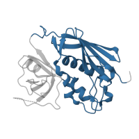 The deposited structure of PDB entry 1klg contains 1 copy of CATH domain 3.10.20.120 (Ubiquitin-like (UB roll)) in Enterotoxin type C-3. Showing 1 copy in chain D.