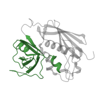 The deposited structure of PDB entry 1klg contains 1 copy of Pfam domain PF01123 (Staphylococcal/Streptococcal toxin, OB-fold domain) in Enterotoxin type C-3. Showing 1 copy in chain D.