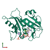 PDB entry 1klk coloured by chain, front view.