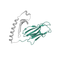 The deposited structure of PDB entry 1klu contains 1 copy of SCOP domain 48942 (C1 set domains (antibody constant domain-like)) in HLA class II histocompatibility antigen, DR alpha chain. Showing 1 copy in chain A.