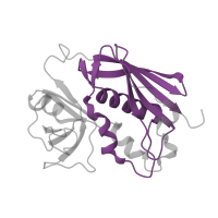 The deposited structure of PDB entry 1klu contains 1 copy of Pfam domain PF02876 (Staphylococcal/Streptococcal toxin, beta-grasp domain) in Enterotoxin type C-3. Showing 1 copy in chain D.