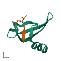 PDB entry 1kna coloured by chain, front view.