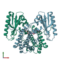 PDB entry 1kny coloured by chain, front view.