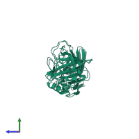 Carbonic anhydrase in PDB entry 1kop, assembly 1, side view.