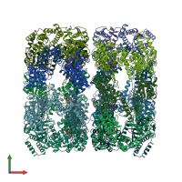PDB entry 1kp8 coloured by chain, front view.