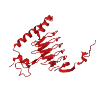 The deposited structure of PDB entry 1kqa contains 3 copies of CATH domain 2.160.10.10 (UDP N-Acetylglucosamine Acyltransferase; domain 1) in Galactoside O-acetyltransferase. Showing 1 copy in chain A.