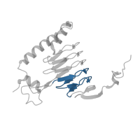 The deposited structure of PDB entry 1kqa contains 3 copies of Pfam domain PF00132 (Bacterial transferase hexapeptide (six repeats)) in Galactoside O-acetyltransferase. Showing 1 copy in chain A.