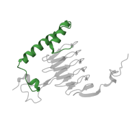 The deposited structure of PDB entry 1kqa contains 3 copies of Pfam domain PF12464 (Maltose acetyltransferase ) in Galactoside O-acetyltransferase. Showing 1 copy in chain A.