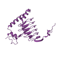 The deposited structure of PDB entry 1kqa contains 3 copies of SCOP domain 51168 (Galactoside acetyltransferase-like) in Galactoside O-acetyltransferase. Showing 1 copy in chain A.