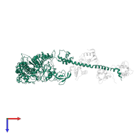 Myosin heavy chain, striated muscle in PDB entry 1kqm, assembly 1, top view.