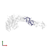 Myosin essential light chain, striated adductor muscle in PDB entry 1kqm, assembly 1, front view.