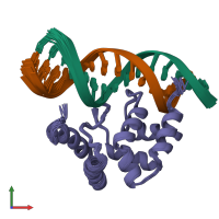 PDB entry 1kqq coloured by chain, ensemble of 20 models, front view.