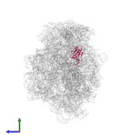 Large ribosomal subunit protein uL16 in PDB entry 1kqs, assembly 1, side view.