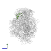 Large ribosomal subunit protein uL13 in PDB entry 1kqs, assembly 1, side view.