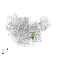 Large ribosomal subunit protein uL13 in PDB entry 1kqs, assembly 1, top view.