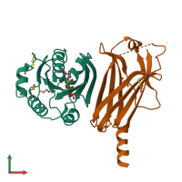 PDB entry 1ksj coloured by chain, front view.