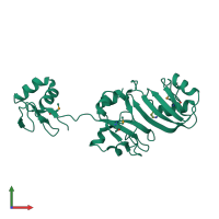 PDB entry 1ksl coloured by chain, front view.