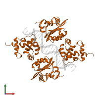 Replication protein E1 in PDB entry 1ksx, assembly 1, front view.