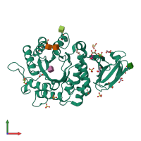 PDB entry 1ktc coloured by chain, front view.