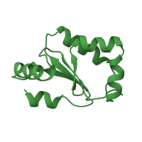 The deposited structure of PDB entry 1kte contains 1 copy of SCOP domain 52834 (Thioltransferase) in Glutaredoxin-1. Showing 1 copy in chain A.