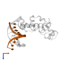 5'-D(*CP*CP*TP*TP*TP*GP*TP*CP*AP*AP*G)-3' in PDB entry 1ku7, assembly 1, top view.
