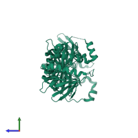 Phosphoribosylaminoimidazole-succinocarboxamide synthase in PDB entry 1kut, assembly 1, side view.