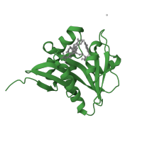 The deposited structure of PDB entry 1kuv contains 1 copy of SCOP domain 55730 (N-acetyl transferase, NAT) in Serotonin N-acetyltransferase. Showing 1 copy in chain A.