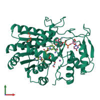 PDB entry 1kvu coloured by chain, front view.