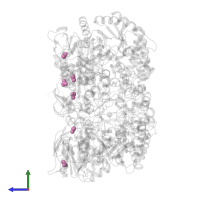 ACETATE ION in PDB entry 1kwk, assembly 1, side view.