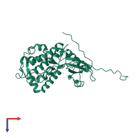 MAP kinase-activated protein kinase 2 in PDB entry 1kwp, assembly 1, top view.