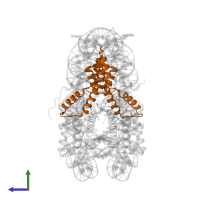 Histone H3.2 in PDB entry 1kx3, assembly 1, side view.