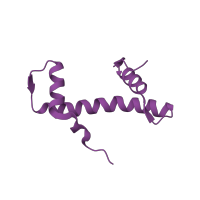 The deposited structure of PDB entry 1kx4 contains 2 copies of CATH domain 1.10.20.10 (Histone, subunit A) in Histone H4. Showing 1 copy in chain D [auth B].