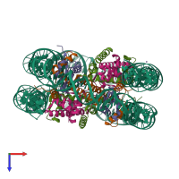 Hetero decameric assembly 1 of PDB entry 1kx4 coloured by chemically distinct molecules, top view.