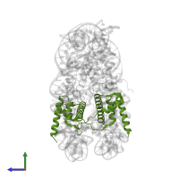 Histone H2B 1.1 in PDB entry 1kx4, assembly 1, side view.