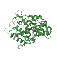 The deposited structure of PDB entry 1kxm contains 1 copy of Pfam domain PF00141 (Peroxidase) in Cytochrome c peroxidase, mitochondrial. Showing 1 copy in chain A.