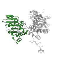 The deposited structure of PDB entry 1ky4 contains 4 copies of Pfam domain PF00670 (S-adenosyl-L-homocysteine hydrolase, NAD binding domain) in Adenosylhomocysteinase. Showing 1 copy in chain A.