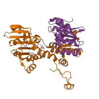 The deposited structure of PDB entry 1ky4 contains 8 copies of Pfam domain PF05221 (S-adenosyl-L-homocysteine hydrolase) in Adenosylhomocysteinase. Showing 2 copies in chain A.