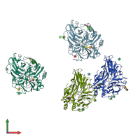 PDB entry 1kya coloured by chain, front view.