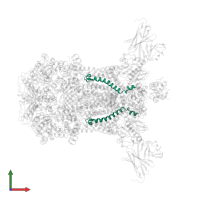 Cytochrome b-c1 complex subunit 9, mitochondrial in PDB entry 1kyo, assembly 1, front view.