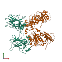 Hetero tetrameric assembly 1 of PDB entry 1kzy coloured by chemically distinct molecules, front view.