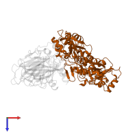 TP53-binding protein 1 in PDB entry 1kzy, assembly 1, top view.