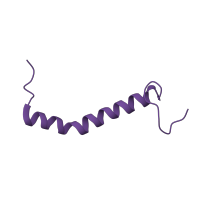 The deposited structure of PDB entry 1l0n contains 1 copy of Pfam domain PF08997 (Ubiquinol-cytochrome C reductase complex, 6.4kD protein) in Cytochrome b-c1 complex subunit 10. Showing 1 copy in chain K.