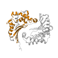 The deposited structure of PDB entry 1l0n contains 1 copy of Pfam domain PF00675 (Insulinase (Peptidase family M16)) in Cytochrome b-c1 complex subunit 2, mitochondrial. Showing 1 copy in chain B.