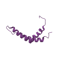 The deposited structure of PDB entry 1l0n contains 1 copy of CATH domain 1.10.287.20 (Helix Hairpins) in Cytochrome b-c1 complex subunit 6, mitochondrial. Showing 1 copy in chain H.