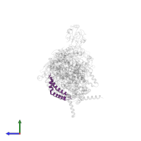 Cytochrome b-c1 complex subunit 6, mitochondrial in PDB entry 1l0n, assembly 1, side view.