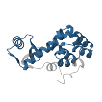 The deposited structure of PDB entry 1l10 contains 1 copy of Pfam domain PF00959 (Phage lysozyme) in Endolysin. Showing 1 copy in chain A.