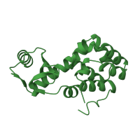 The deposited structure of PDB entry 1l10 contains 1 copy of SCOP domain 53981 (Phage lysozyme) in Endolysin. Showing 1 copy in chain A.
