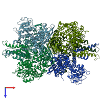 PDB entry 1l1f coloured by chain, top view.